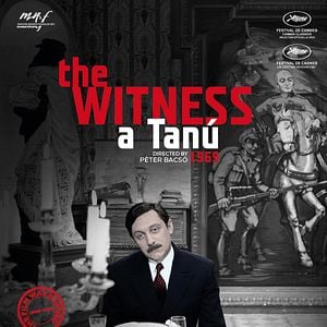 Fotoğraf A Tanú (The Witness)