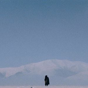 Fotoğraf The Horse Thief