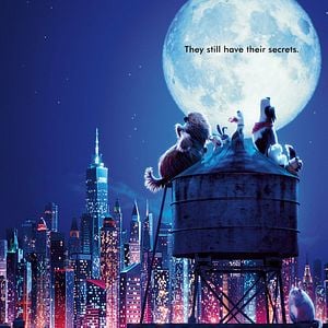 Fotoğraf Evcil Hayvanların Gizli Yaşamı 2