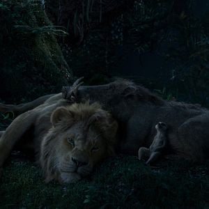 Fotoğraf Aslan Kral