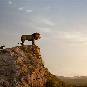 Fotoğraf Aslan Kral