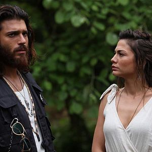 Fotoğraf Erkenci Kuş