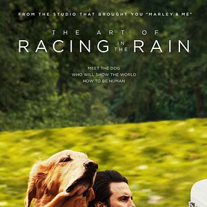 Fotoğraf Enzo: Yağmurda Yarış Sanatı