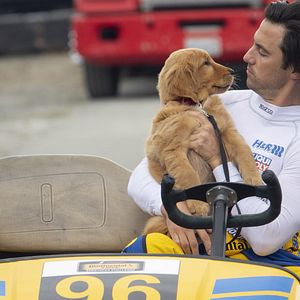 Fotoğraf Enzo: Yağmurda Yarış Sanatı