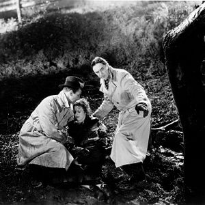 Fotoğraf The Black Cat