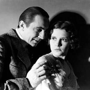 Fotoğraf The Black Cat