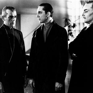 Fotoğraf The Black Cat