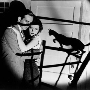 Fotoğraf The Black Cat