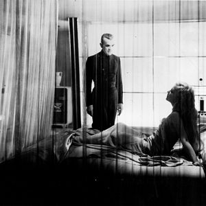 Fotoğraf The Black Cat