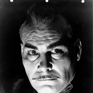 Fotoğraf The Black Cat