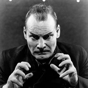 Fotoğraf The Black Cat