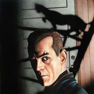 Fotoğraf The Black Cat