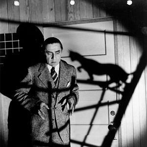 Fotoğraf The Black Cat