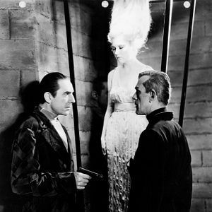 Fotoğraf The Black Cat