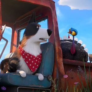 Fotoğraf Evcil Hayvanların Gizli Yaşamı 2