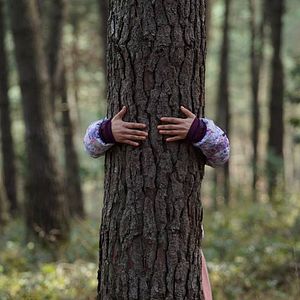 Fotoğraf Küçük Şeyler