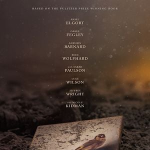 Fotoğraf Saka Kuşu