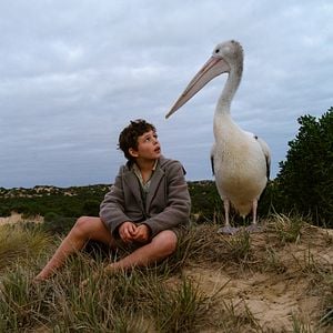 Fotoğraf Finn Little