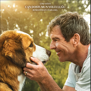 Fotoğraf Dostumun Yolculuğu