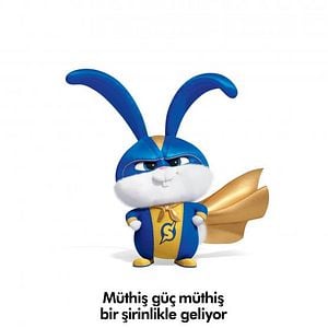 Fotoğraf Evcil Hayvanların Gizli Yaşamı 2