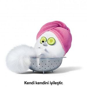 Fotoğraf Evcil Hayvanların Gizli Yaşamı 2