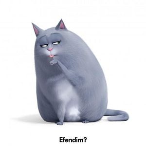 Fotoğraf Evcil Hayvanların Gizli Yaşamı 2