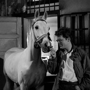 Fotoğraf Küller ve Elmaslar