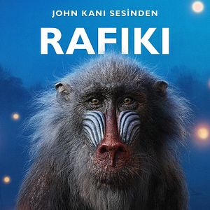 Fotoğraf Aslan Kral