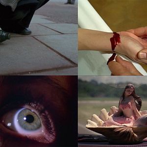 Fotoğraf Ne croyez surtout pas que je hurle