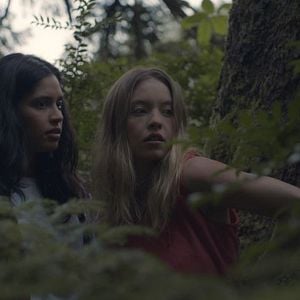 Fotoğraf Clementine