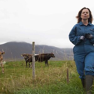 Fotoğraf Arndís Hrönn Egilsdóttir