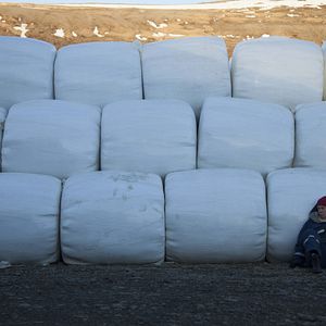 Fotoğraf Arndís Hrönn Egilsdóttir