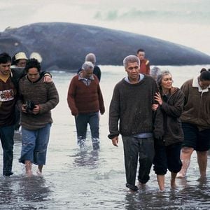 Fotoğraf Balinanın Sırtında