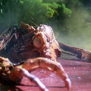 Fotoğraf Gremlinler