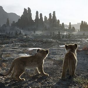 Fotoğraf Aslan Kral