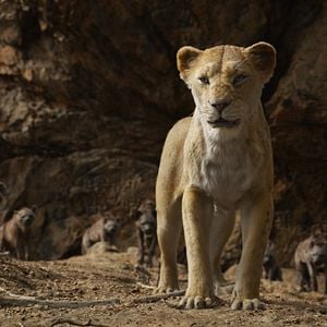 Fotoğraf Aslan Kral