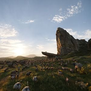 Fotoğraf Aslan Kral