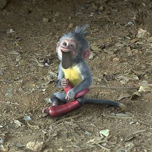 Fotoğraf Dora ve Kayıp Altın Şehri