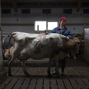 Fotoğraf Arndís Hrönn Egilsdóttir