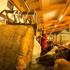 Fotoğraf Arndís Hrönn Egilsdóttir