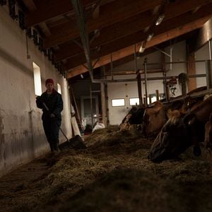 Fotoğraf Arndís Hrönn Egilsdóttir