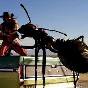 Fotoğraf Tom Arnold