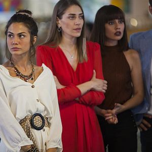 Fotoğraf Erkenci Kuş