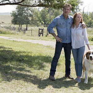 Fotoğraf Dennis Quaid