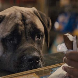 Fotoğraf Dostumun Yolculuğu