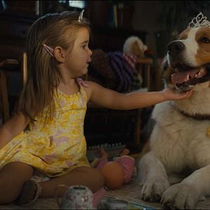 Fotoğraf Dostumun Yolculuğu