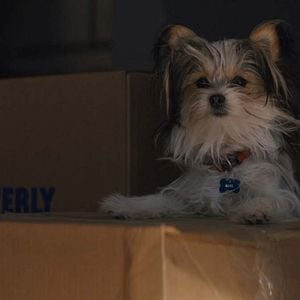 Fotoğraf Dostumun Yolculuğu