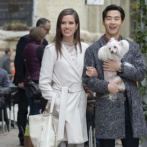 Fotoğraf Dostumun Yolculuğu