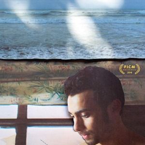 Fotoğraf Luciérnagas