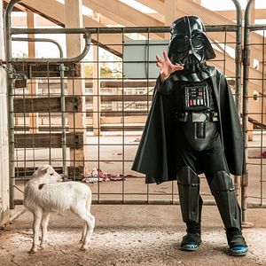 Fotoğraf Little Monsters